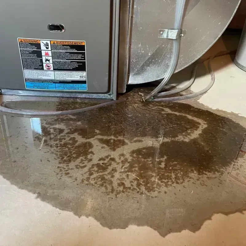 Appliance Leak Cleanup in The Pinery, CO